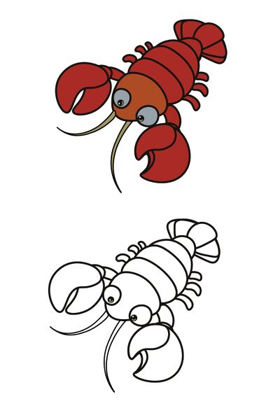 File:Crayfish.jpg