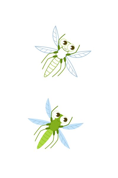 File:95飞虫 画板 1.jpg