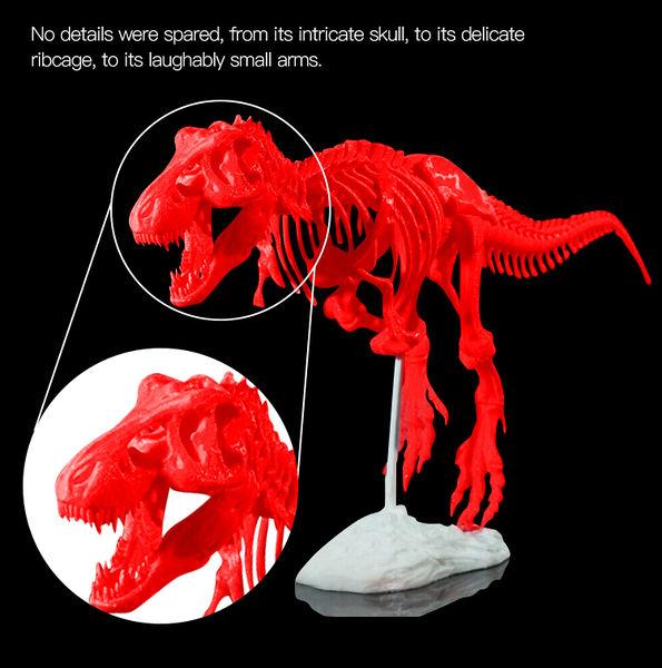 File:1 (6).jpg
